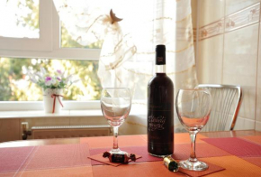 Гостиница Stephanie Apartment  Брашов